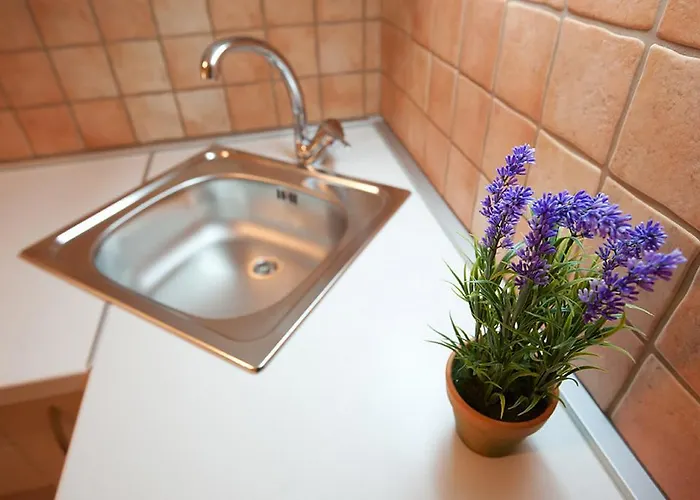 Διαμέρισμα Viola Ζαντάρ