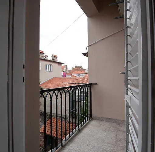 Viola * Zadar