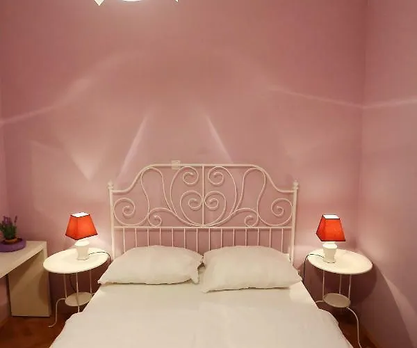 Viola * Ζαντάρ