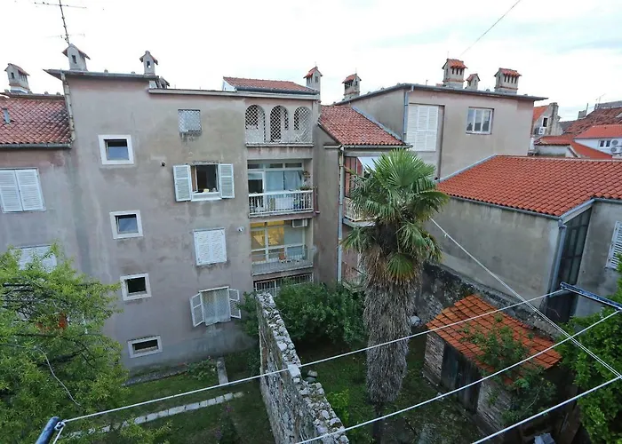 Viola * Zadar
