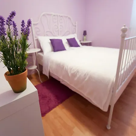 Viola Apartment *