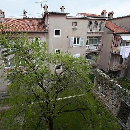 Apartment Viola *