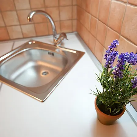 Apartment Viola Zadar