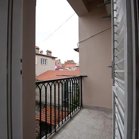 Viola * Zadar