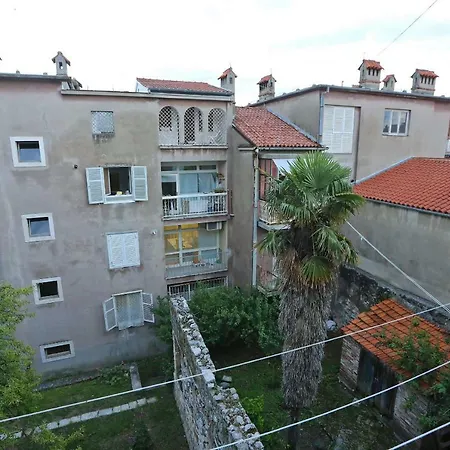 Viola * Zadar